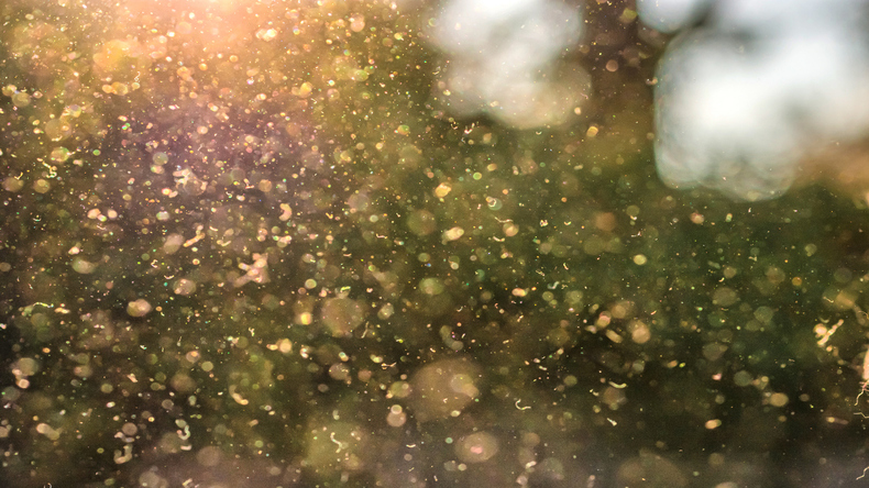 こんなに花粉症が多いのはおかしい！日本で多い理由、これからの対策とは？